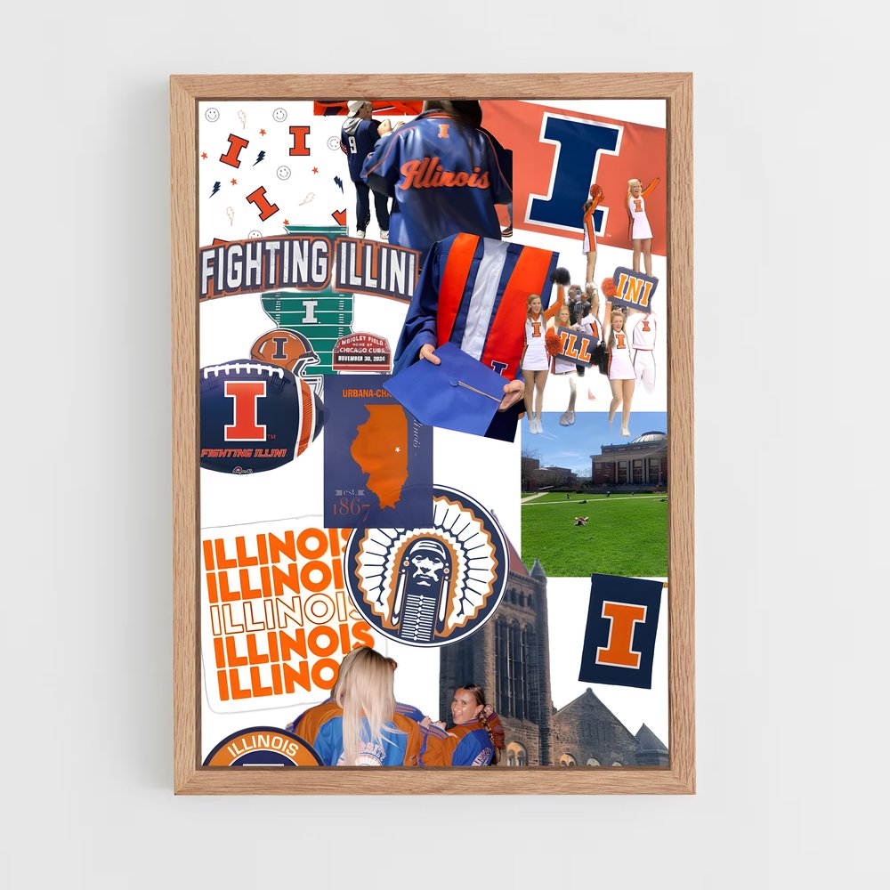 Poster Fighting Spirit Illinois – affiche Basketball (vue 4)
